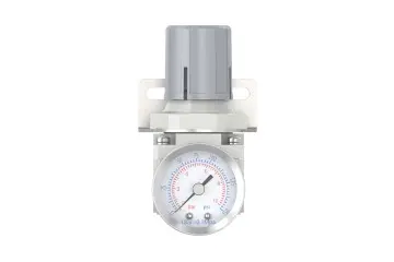 AR2000-02 1/4" AR Air Regulator